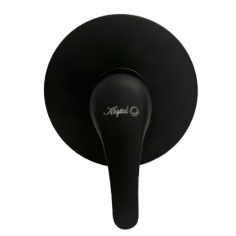 Matt Black Shower Mixer Lever
